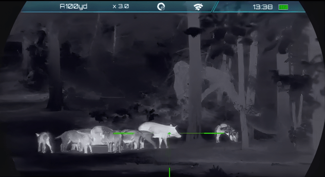 A black and white thermal image depicts a group of wild hogs in a forest at night.