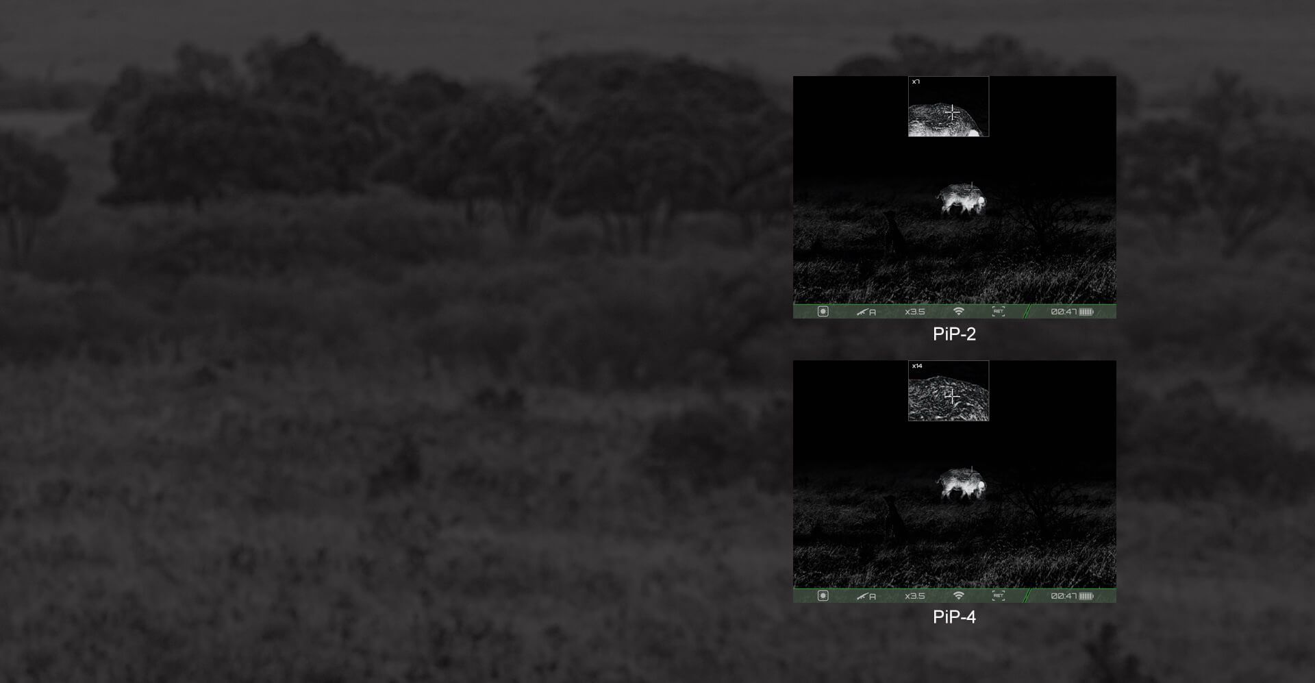 Thermal imaging display showing wildlife at night using Picture-in-Picture (PiP) feature