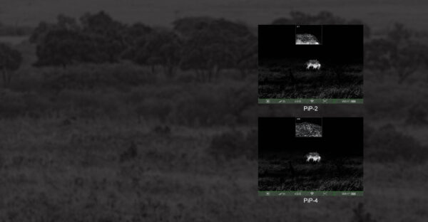 Comparison of Picture-in-Picture (PIP) settings on a night vision scope