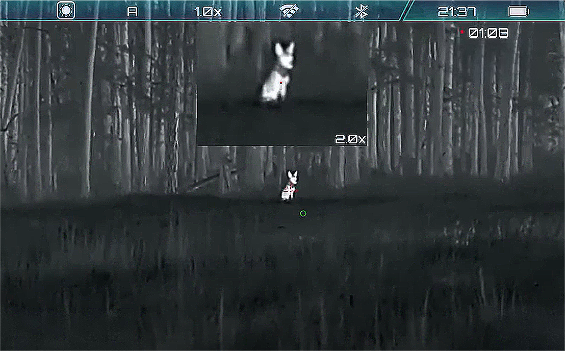 How to Select the Right Thermal Scope Color Palette for Hunting