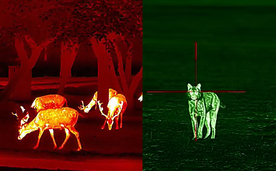 How to Select the Right Thermal Scope Color Palette for Hunting