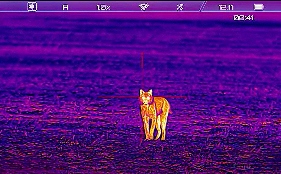 How to Select the Right Thermal Scope Color Palette for Hunting